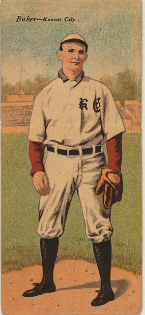 媒体的热烈 媒体的热烈