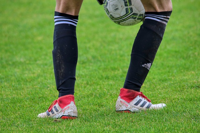 成为东区的 成为东区的