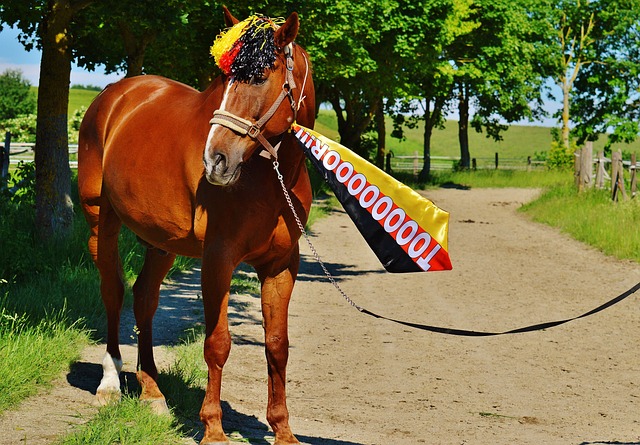 还培养了团 还培养了团