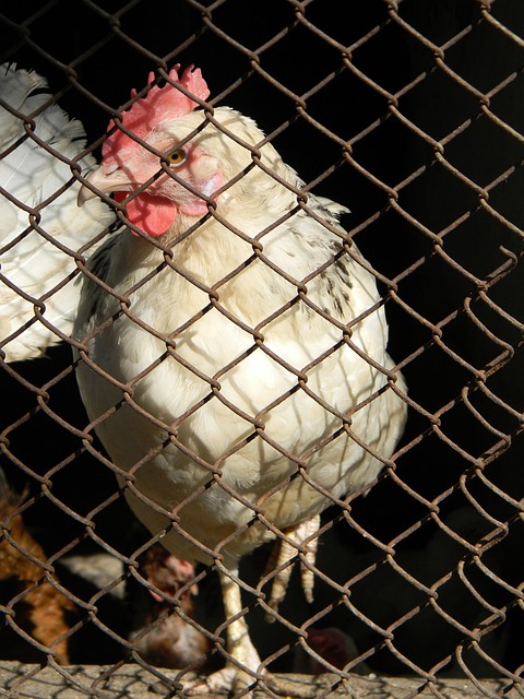 对村内基础 对村内基础