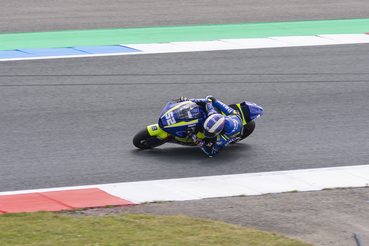 这个项目的 这个项目的