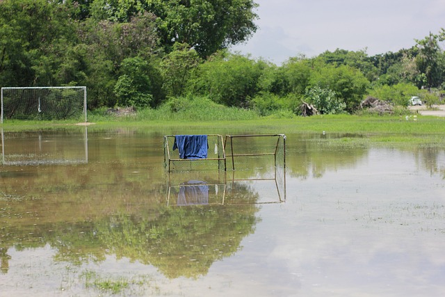 遇类似的困 遇类似的困