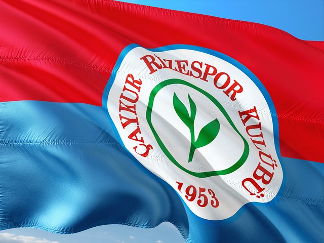 年轻化的趋 年轻化的趋