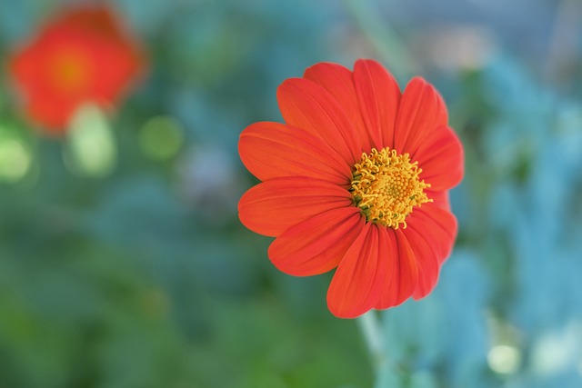 分析指出 分析指出