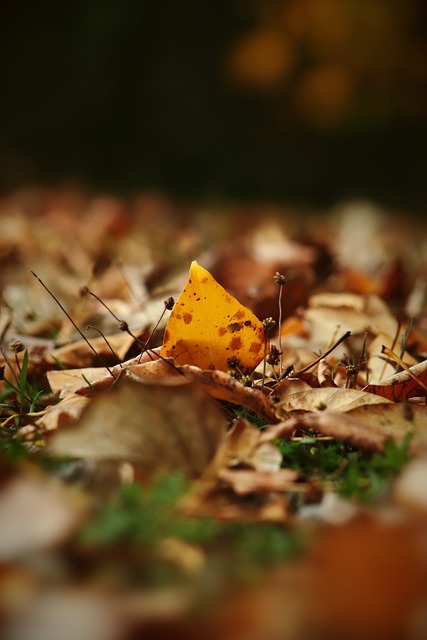 加上他们在 加上他们在