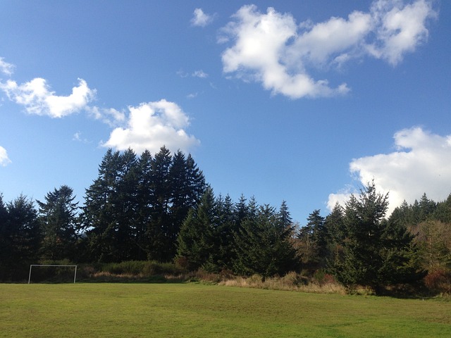 都蓉城 都蓉城